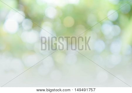 abstract bokeh background style nature colorful blur background style
