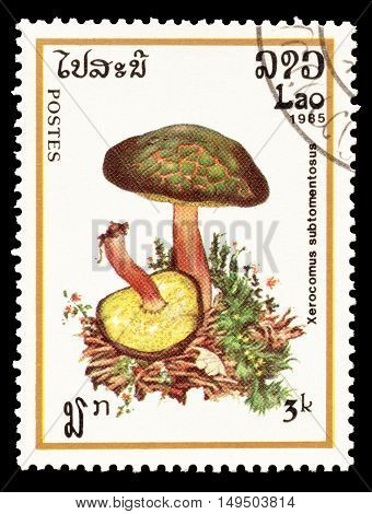 LAOS - CIRCA 1985 : Cancelled postage stamp printed by Laos, that shows Xerocomus Subtomentosus mushroom.