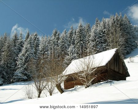 Legno casa di campagna - paesaggio di montagna