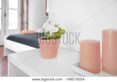 Closeup of a flower pot with natural blur in background