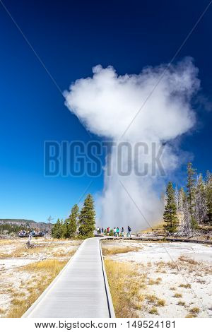 YELLOWSTONE NATIONAL PARK WY - SEPTEMBER 11 2015: Crowd watches eruption of Grand Geyser in Yellowstone National Park WY on September 11 2015
