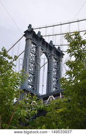 manhattan bridge look out behind the tree. Unusual angle of view