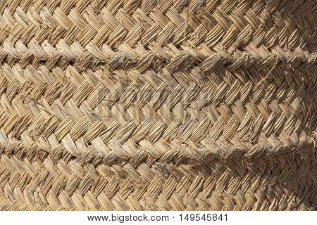 Detailed esparto fibers background. Closeup under sun