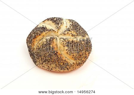 Pane