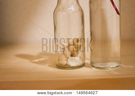 botanical water in glass with shell .