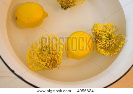yellow and green botanical on table .