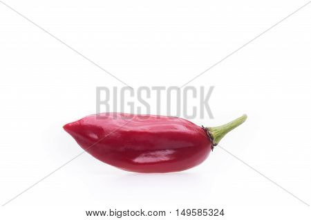 Naga Morich Chili Pepper