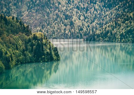 Ritsa Lake and Coniferous Forest Landscape in Abkhazia Summer Travel serene scenic view
