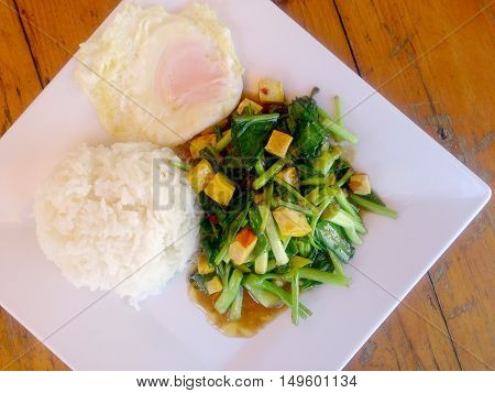 Stir Fried Chinese Kale With Tofu In White Plate.. Vegetarian Food, Healthy Food.