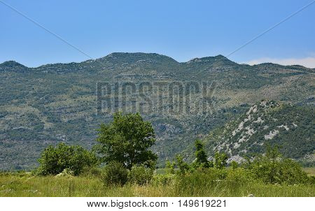 Landscape Near Village Image & Photo (Free Trial) | Bigstock
