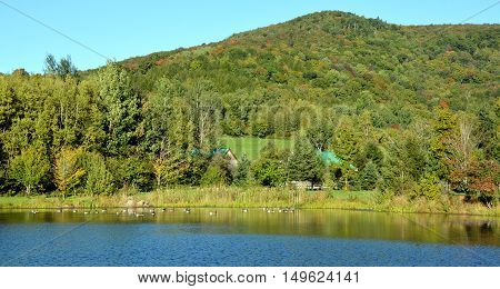 Early fall landscape canadians geese in lake eastern township Bromont, Quebec, canada