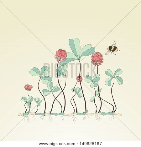 Vector illustration of clover plants and bumblebees