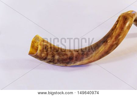 Shofar a tallit on a white background - rosh hashanah jewesh holiday concept
