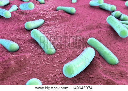Bacteria on surface of skin, mucous membrane or intestine, model of Escherichia coli, Salmonella, Mycobacterium tuberculosis, simulating electron microscope, 3D illustration