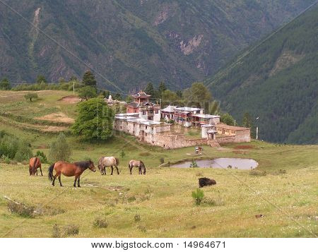 DIN Guo Shan
