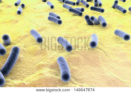 Bacteria on surface of skin, mucous membrane or intestine, model of Escherichia coli, Salmonella, Mycobacterium tuberculosis, simulating electron microscope, 3D illustration