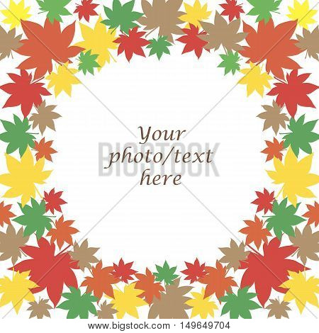 Maple leaves colorful on white background. Photo frame