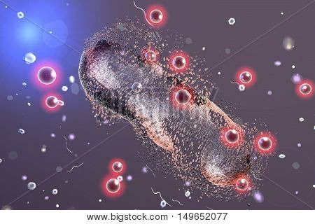 Destruction of a bacterium by silver nanoparticles, 3D illustration. An illustration can be also used to demonstrate action of any antibiotic substance or drug