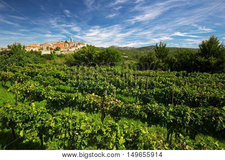 Old Village With Vineyard, Blue Sky And Mountains In Labin, Istria, Croatia