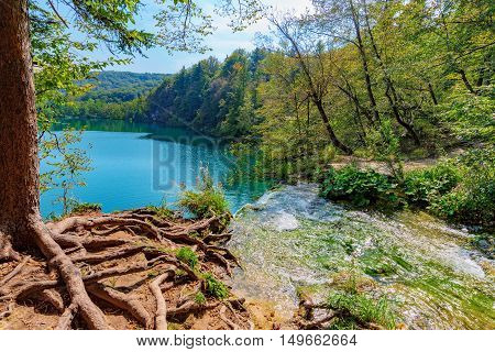 Scenic view of Plitvice lakes and forest