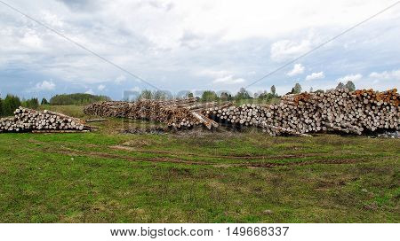 Racks wood logs in the field environmental disaster. deforestation