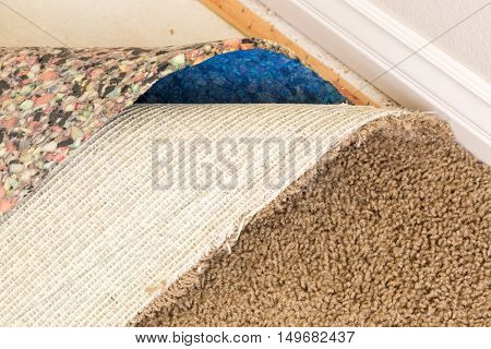 Pulled Back Carpet and Padding In Room of House.