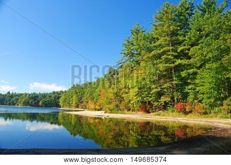 The Walden Pond near Concord, Massachusetts, USA