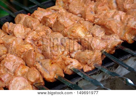 a Shashlik on skewers closeup on grill