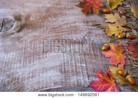 Thanksgiving greeting with acorn and fall leaves on wooden background. Thanksgiving background with fall leaves. Copy space
