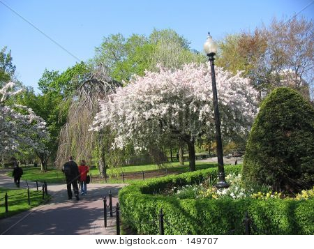 Offentlige have Boston