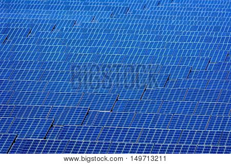 Wild Shot pattern of Solar cell panel