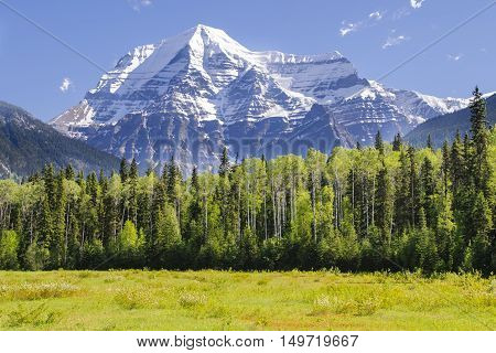 Mount Robson