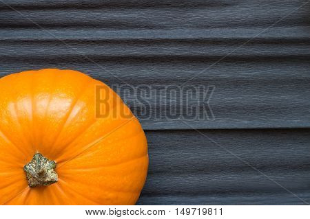 Orange Pumpkin On A Dark Background