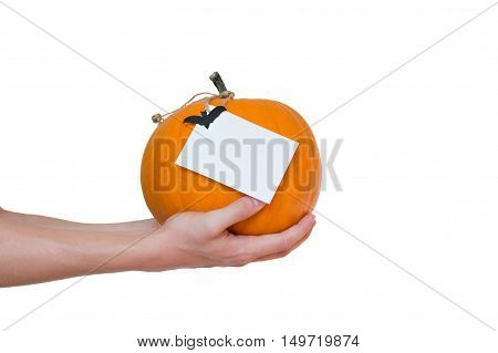 the halloween pumpkin on the hand isolated