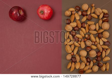 Organic autumn fruits and nuts isolated on split background with copy space