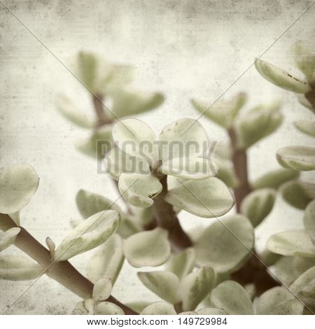 Textured Old Paper Background