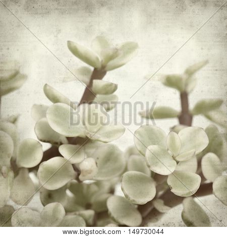 Textured Old Paper Background