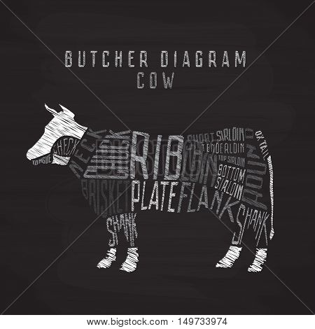 Chalk cow butcher diagram. Cut of beef set. Typographic vintage vector illustration