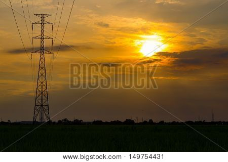 High voltage electrical transmission line and tower in rice field during sunset