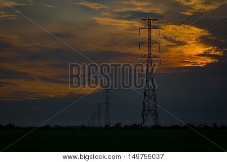 High voltage electrical transmission line and tower in rice field during sunset