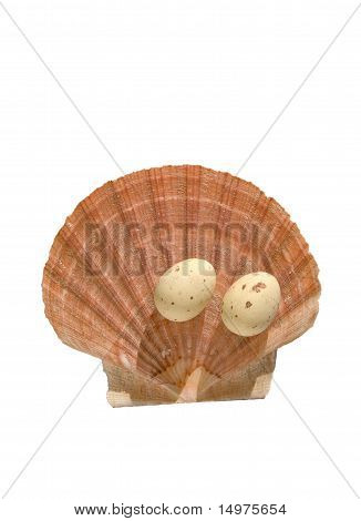 Oeufs de Pâques sur la coquille de mer
