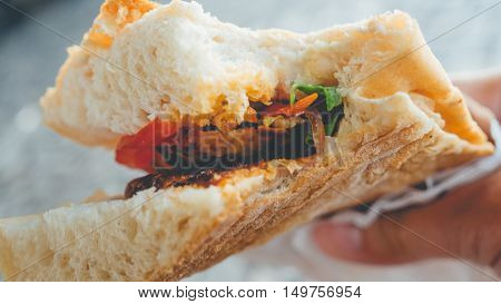 Istanbul grilled chicken sandwich famous street food.