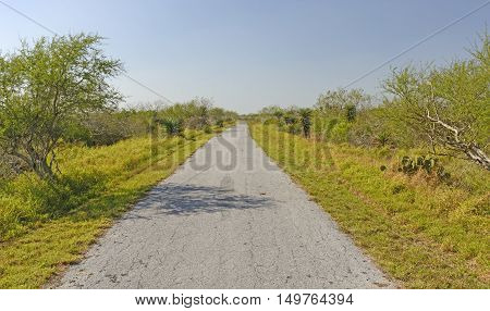 Lonely Path on a Barrier Island in Laguna Atascosa National Wildlife Refuge in Texas