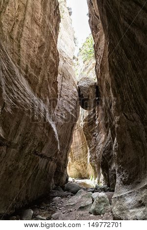 narrow canyon in the mountain gorge Avakas. Cyprus.