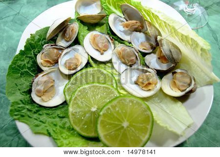 Lime skiver dampskibe