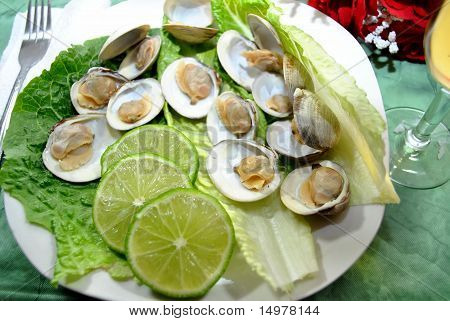Dampskibe med Lime skiver
