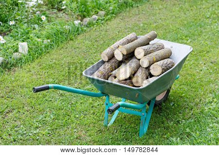 hand truck with firewood on the green grass