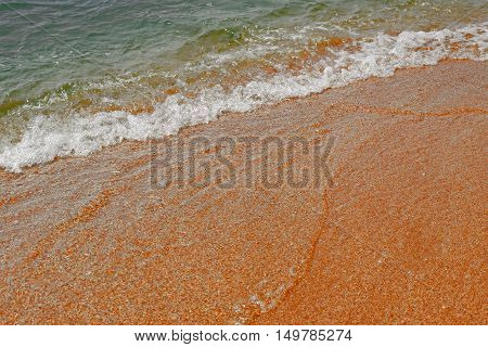 Sea sandy beach under daylight, relaxation point, diagonal viewpoint half land half water.