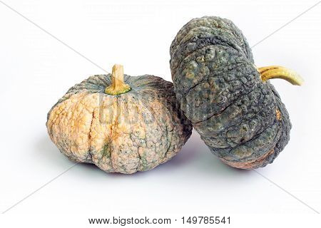 pumpkin vegetable on a white background / pumpkin vegetable