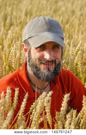 a bearded man in a cup sitting in a wheat field